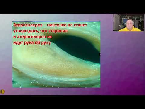 Видео: Старение и поражение эндотелия - пути геронтопротекции - Воробьёв Павел Андреевич