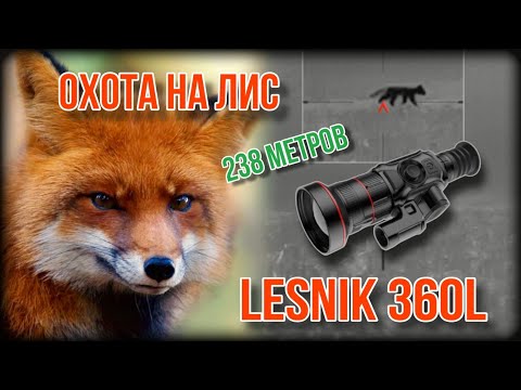 Видео: ОХОТА НА ЛИС В ГОН, КАРАБИН ЛОСЬ 145 -223rem ,Lesnik 360l.