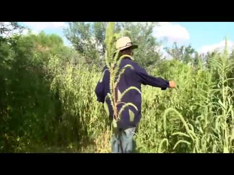 Видео: Джефф  Лотон  "Оазис в американской пустыне"