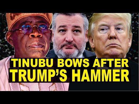 Видео: Тинубу отвечает Трампу на объявление Нигерии страной, вызывающей беспокойство: «Никакого сопротив...