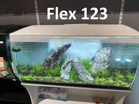 Видео: Монтаж аранжиране и стартиране на растителен аквариум Fluval Flex 123 засаждане и подбор на растения