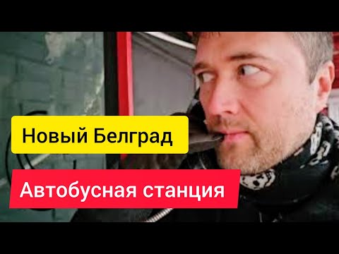 Видео: ПОЧЕМУ все недоволены? Автобусная станция в Новом Белграде