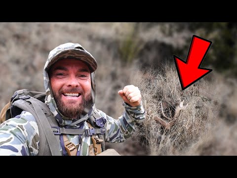 Видео: Самый безумный сарай для лосей, который я когда-либо находил