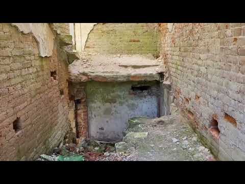 Видео: Лопандино, Благовест (Комаричский район, Брянская область)