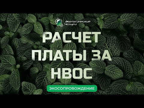Видео: Расчет платы за негативное воздействие на окружающую среду (НВОС) 2023