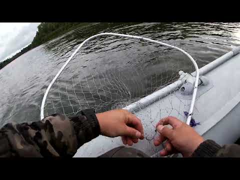 Видео: РЫБАЛКА В НИЗОВЬЯХ Р ЧУЛЫМ