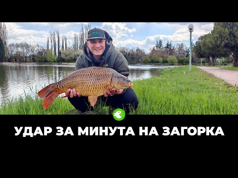Видео: УДАР ЗА МИНУТА! Бърз шаранджийски риболов на езеро Загорка (Стара Загора)