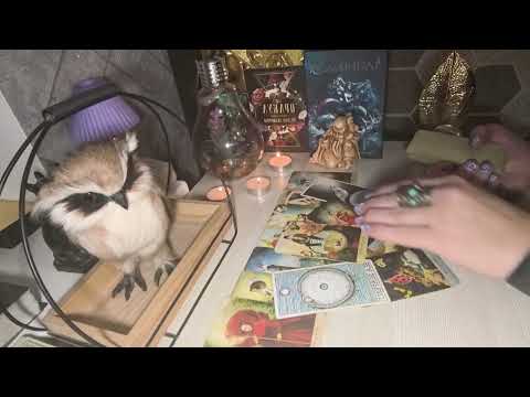 Видео: 🔥🤦Честно высказался🔥. Что он думает о Вас, но молчит🔥🤦