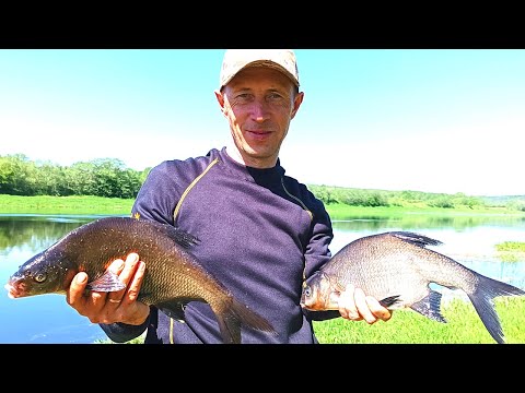 Видео: ДВОЕ СУТОК РЫБАЛКА С ЖЕНОЙ С НОЧЕВКОЙ! ОТДЫХ С ПАЛАТКОЙ НА РЕКЕ! КОПТИМ ЛЕЩА! Рыбалка на фидер