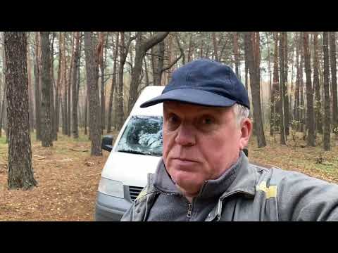 Видео: Утро началось не с кофе! В лес за пропажей. Карета намыта и подана! Звезда не подготовлена к эфиру. 