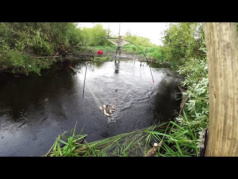 Видео: Рыбалка на паук подъёмник в маленькой речушке.