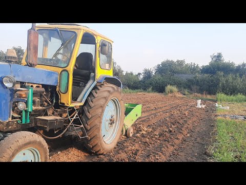 Видео: #юмз6 риємо картоплю. Всі недоліки картоплекопалки " Bomet"  як є😡😡😡😤