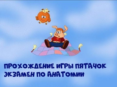 Видео: Прохождение игры Пятачок.Экзамен по анатомии