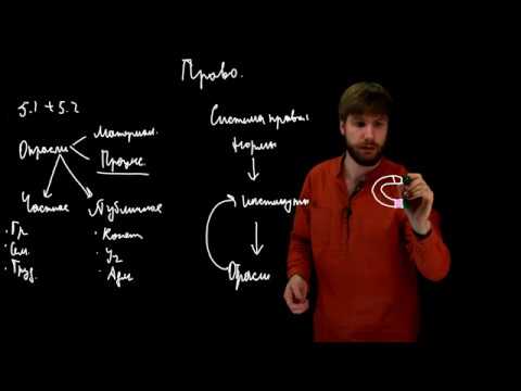 Видео: Топ темы ЕГЭ по обществознанию часть 3