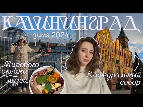 Видео: Зимний Калининград. Кафедральный собор, Остров Канта, район Амалиенау и Музей Мирового океана.