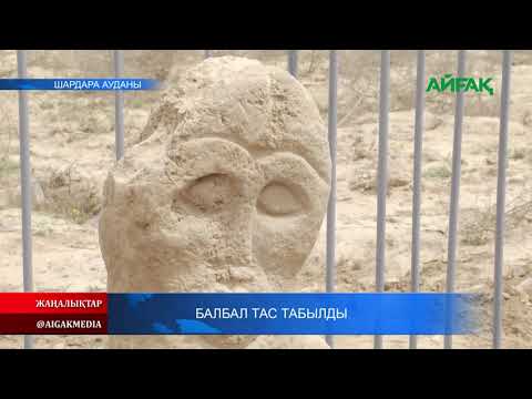 Видео: 03.05.2021 Шардарадан балбал тас табылды