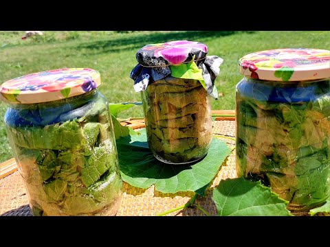 Видео: Листья лозы в банках на зиму без стерилизации
