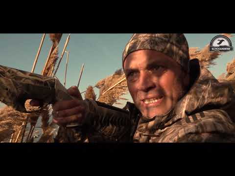 Видео: Охота на утку. СТРЕЛЯЕМ ТОЛЬКО СЕЛЕЗНЕЙ !