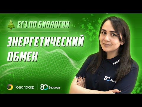 Видео: ЕГЭ по Биологии 2022. Энергетический обмен