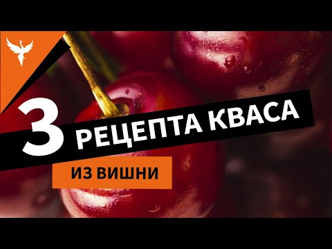 Видео: рДЖ 60: Три рецепта кваса из вишни: с дрожжами, без дрожжей и на малине. Какой вкуснее?