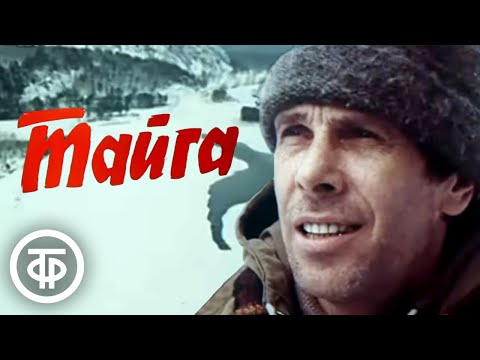 Видео: Тайга. Художественный фильм по повести Петра Проскурина (1985)