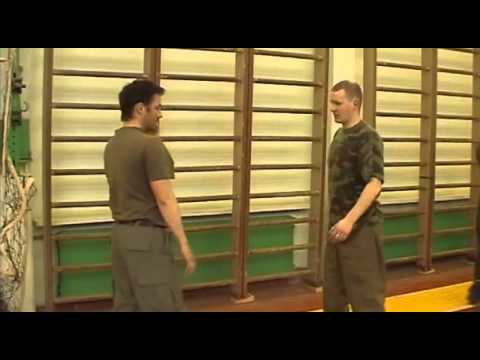 Видео: Русский маятниковый стиль  Семинар С Н  Путилина