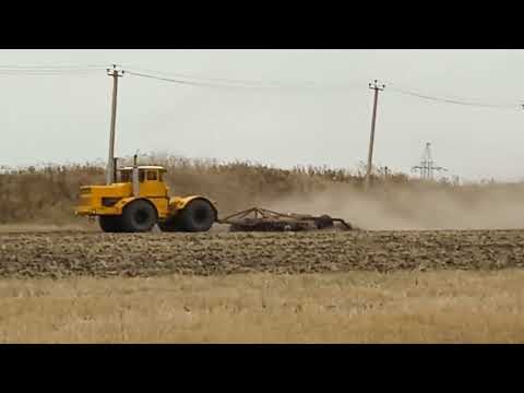 Видео: ДИСКОВАНИЕ ПОЛЕЙ НА КИРОВЦЕ К700 [СТАВРОПОЛЬСКИЙ КРАЙ]