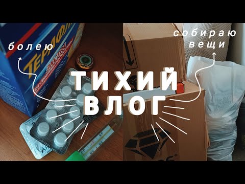 Видео: Рутина переезда, плюсы осени и простая истина🍂📦ТИХИЙ ВЛОГ с музыкой | SILENT VLOG