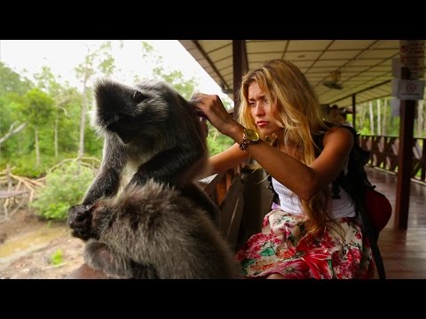 Видео: Орёл и Решка. НА КРАЮ СВЕТА. #6 Борнео