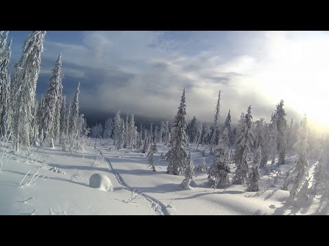 Видео: Две недели на промысле в тайге. Глухозимье 2023. Часть 2