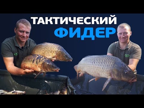 Видео: Тактический фидер! Как наловить трофейных карпов за 5 часов? Секреты FLAT фидерной рыбалки!