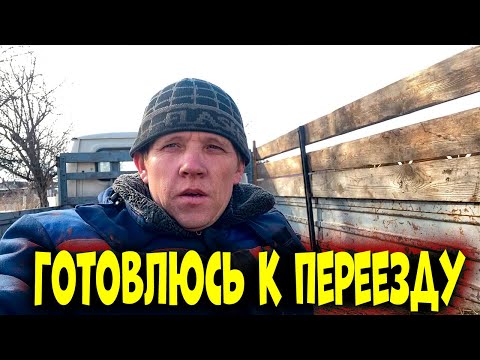 Видео: Делаю трап на Газель. Жду Отёла.