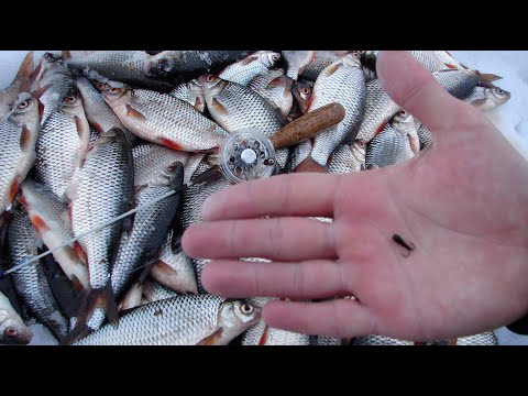 Видео: Безмотылка ЧЁРТ: лучшие проводки