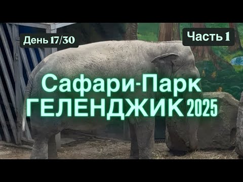 Видео: 21. Геленджик. Сафари Парк🥳 Мечтали сходить сюда. Полный восторг🤩