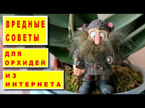 Видео: ВРЕДНЫЕ СОВЕТЫ ИЗ ИНТЕРНЕТА для орхидей, слушать которые НЕЛЬЗЯ!!! НЕ ДЕЛАЙТЕ ТАК!