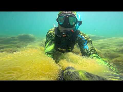 Видео: Удачная подводная охота на кефаль в Чёрном море. 07.07.2023г.