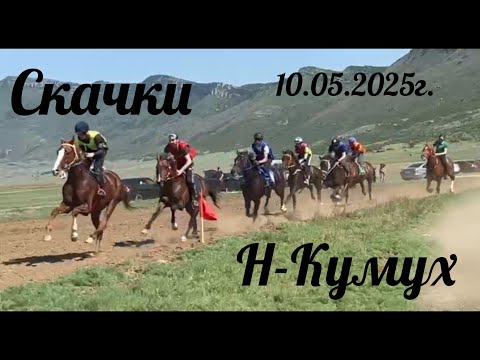 Видео: Скачки Новый Кумух