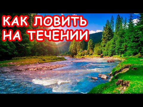 Видео: КАК ЛОВИТЬ МИКРОДЖИГОМ НА ТЕЧЕНИИ. РЫБАЛКА НА СПИННИНГ НА РЕКЕ