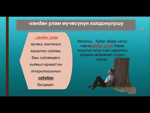 Видео: Грамматика /  -гандан улам себеп багыныңкы сүйлөм