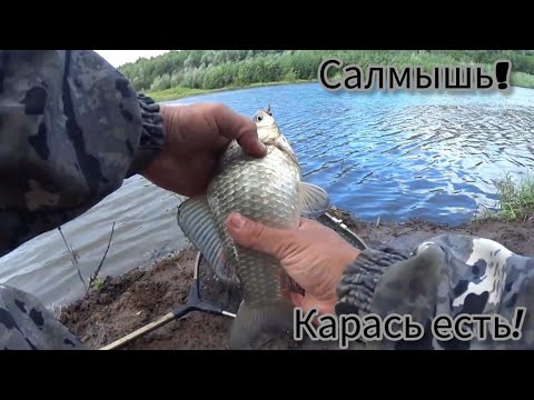 Видео: Ловим Карася!Рыбца!Подлешика!Готовим бургеры!#рыбалка #fishing #озеро #карась #кино #фидер