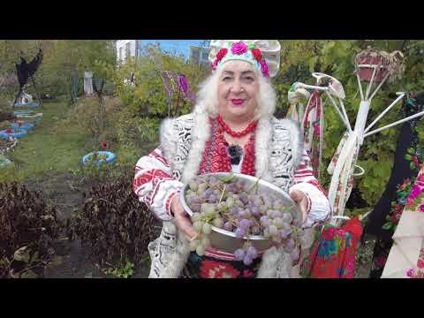 Видео: Свічечка фільм О Лазарєва-криворожского