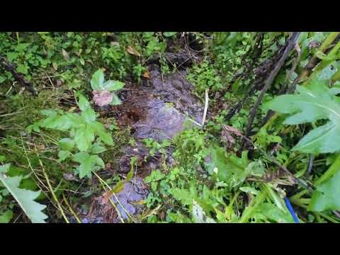 Видео: В овраге ведущему к Шутовому камню
