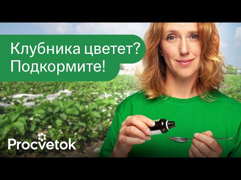 Видео: ВСЕГО 1 ЛОЖКА ПОД КЛУБНИКУ! Внесите во время цветения под куст, и она завалит крупными ягодами