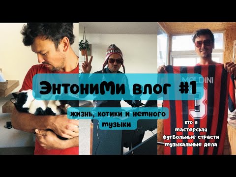 Видео: ЭнтониМи влог #1 Котики, Мастерская, Футбол и музыка