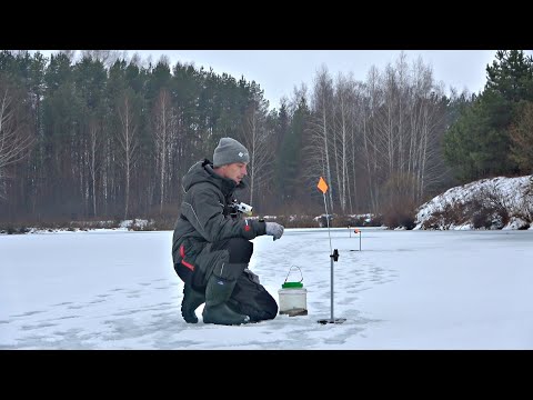 Видео: РАССТАВИЛ ЖЕРЛИЦЫ НА ЩУЧЬЮ ТРОПУ И НАЧАЛОСЬ...! ФЛАГИ ВСТАЮТ ДРУГ ЗА ДРУГОМ! Зимняя рыбалка.