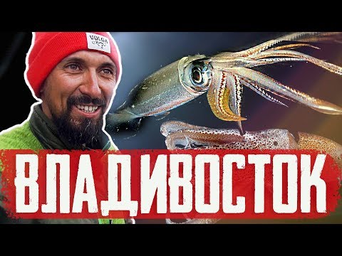 Видео: Ловля КАЛЬМАРОВ во Владивостоке! СТАРБЛОГ