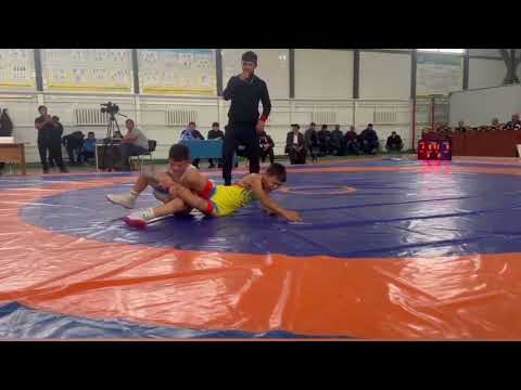 Видео: 4 ноября 2025 г.