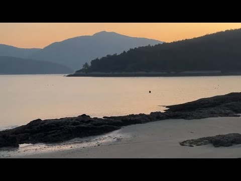 Видео: Ноябрь•Geumildo Island #stream #korea #november #island #jiyoo8515