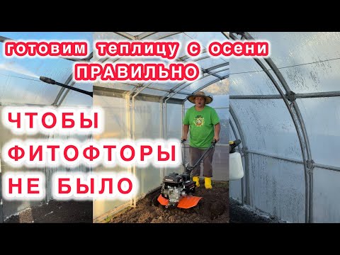 Видео: Готовим теплицы осенью и весной не трачу время.