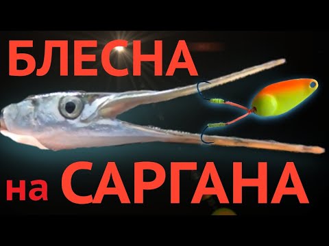 Видео: Уловистая БЛЕСНА, для ловли САРГАНА, ЖЕРЕХА и ФОРЕЛИ 2021.